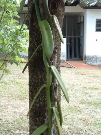 Description de cette image, également commentée ci-après