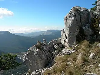 Image illustrative de l’article Bauroux