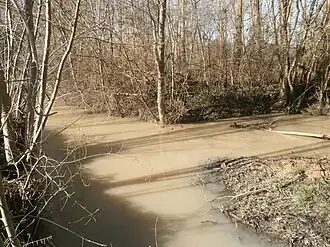 Photographie en couleurs d'un petit cours d'eau aux eaux boueuses.