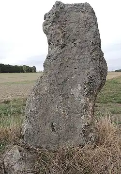 Image illustrative de l’article Menhir de Montifray
