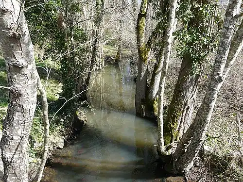 La Beauronne au lieu-dit les Planches, en limite de Saint-Jean-d'Ataux (à gauche) et Saint-Germain-du-Salembre.