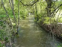 La Beauronne en aval du pont de la RD 710, en limite de Périgueux (à gauche) et Marsac-sur-l'Isle.