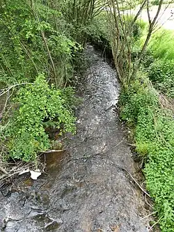 La Beauze au sud de Mergoux, à Saint-Marc-à-Frongier.