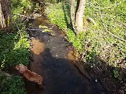 Becque d'Hardelot au niveau du petit pont avenue des bois