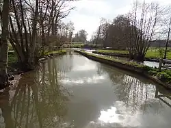 Les deux caneaux issus du Becquet.