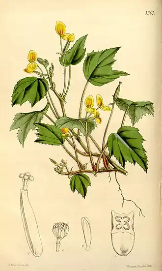 Description de cette image, également commentée ci-après