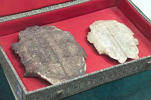 Carapace de tortue datant de la dynastie Shang (XVIe-XIe&nbsp;siècle&nbsp;av. J.-C.) comportant de l'écriture ossécaille, provenant d'Anyang, Musée de l'imprimerie de Chine.