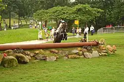 Dans un parc verdoyant, un cavalier avec un gilet jaune et un casque bleu montant un cheval bai franchit un obstacle composé de bois, de pelouse et rochers.