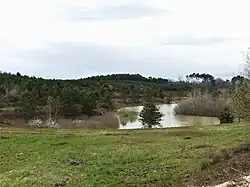 Étang au lieu-dit Haut-Gammareix.