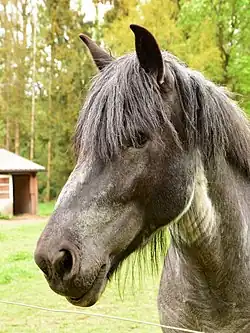 Vue de trois quarts.
