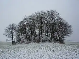 Image illustrative de l’article Tumulus d'Avennes