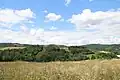 Belić - panorama
