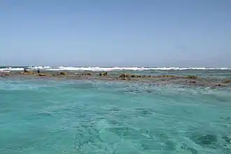 Vu de près du récif