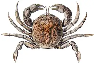 Description de cette image, également commentée ci-après