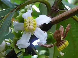 Description de cette image, également commentée ci-après