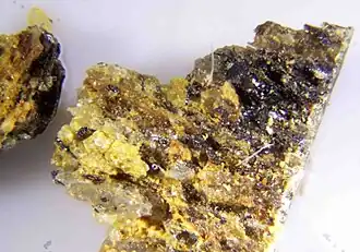 Image illustrative de l’article Schreyerite