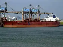 Le minéralier Berge Stahl (342 × 63 m, 364&nbsp;767&nbsp;DWT) en plein déchargement au terminal EECV.