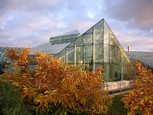 La serre Edward Anderson.