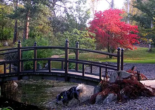 L'étang japonais en automne.