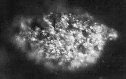 Berkélium (échantillon de 1,7&nbsp;µg long de 100&nbsp;µm).