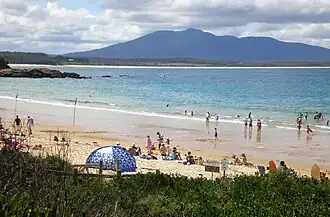 Bermagui