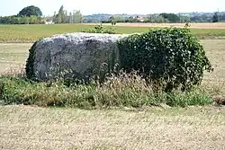 Menhir du Grand-Plessis