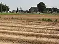 Vue du village.