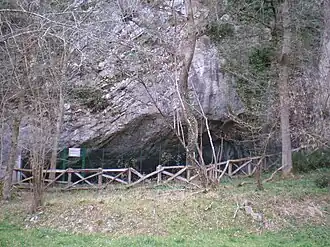 Image illustrative de l’article Grottes de Alkerdi-Berroberria