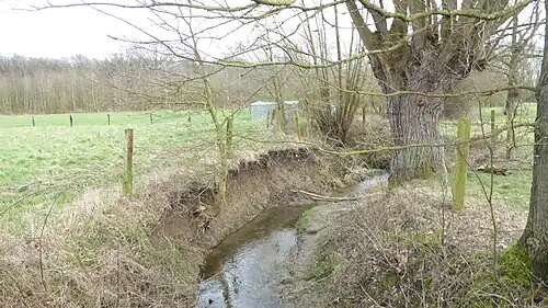 Ruisseau au Nouveau Monde.