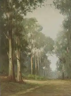Eucalyptus in the Mist, sans date