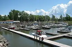 Un port de plaisance par beau temps avec des arbres à l'arrière-plan.