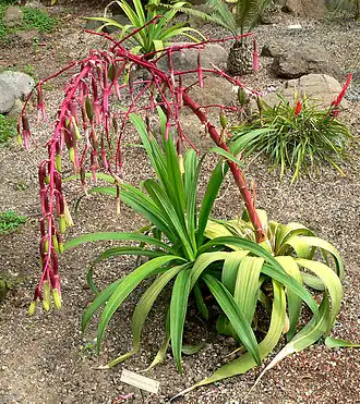 Description de cette image, également commentée ci-après