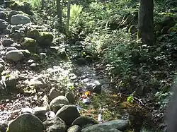 Source entre les pierres dite Funta-na dla canala.