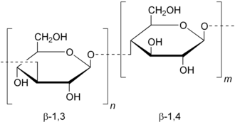 Image illustrative de l’article Lichénine