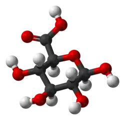 Image illustrative de l’article Acide glucuronique