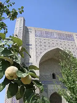 Vue de la façade de la mosquée Bibi Khanoum à Samarcande.