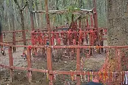 Bikram Baba Chitwan.