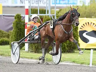 Image illustrative de l’article Billie de Montfort