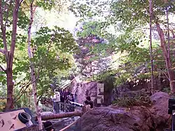 Zone de la forêt laurentienne.