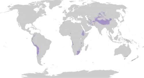 Principales zones : cordillère des Andes, côte angolaise, vallée du Grand Rift africain, Drakensberg, Iran, Hindou Kouch, plateau tibétain, Altaï.