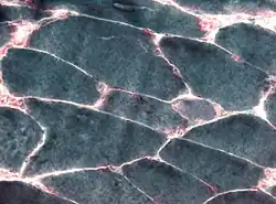 Image montrant différentes zones colorées