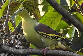 Description de cette image, également commentée ci-après