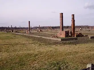 Birkenau BIIb 003.JPG