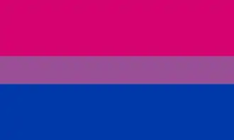 Drapeau bisexuel.