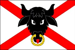 Drapeau de Biskupice