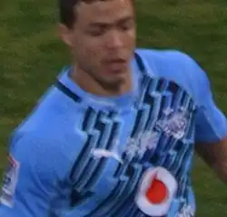 Description de l'image Bjorn Basson (cropped).jpg.