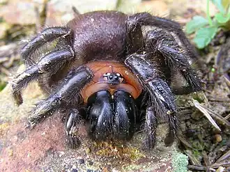 Description de cette image, également commentée ci-après