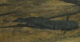 Description de cette image, également commentée ci-après