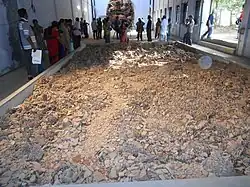 Black gold de Vivan Sundaram