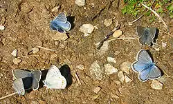 Description de cette image, également commentée ci-après